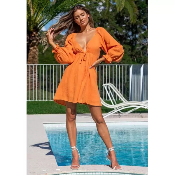 LYANER Women's Deep V Neck Elastic Waist Puff Long Sleeve Swing Flowy Mini Beach Dress