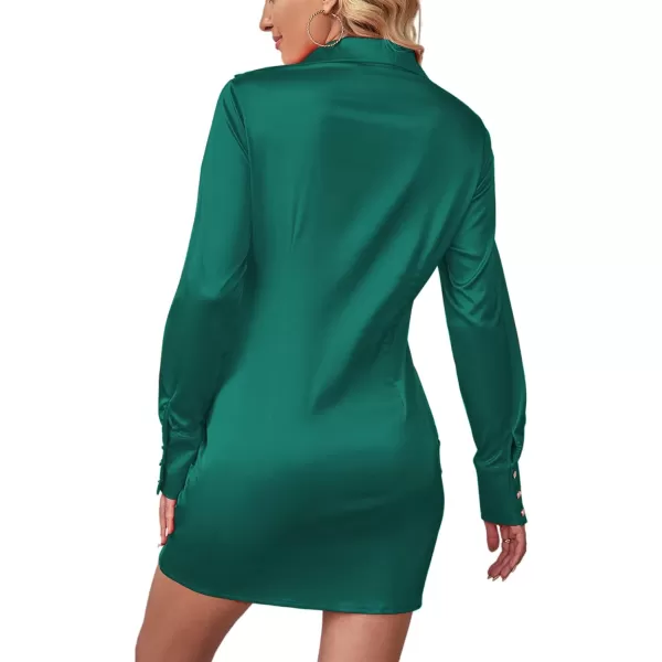 LYANER Women's Leopard Satin Deep Collar V Neck Tie Front Long Sleeve Mini Party Dress