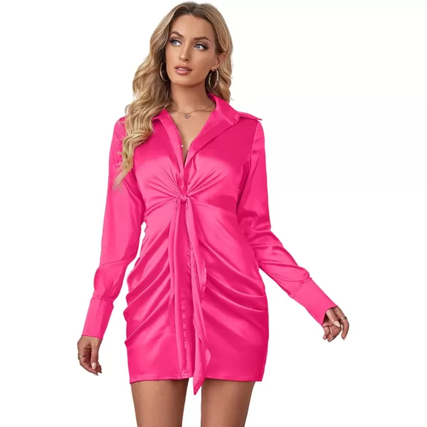 LYANER Women's Leopard Satin Deep Collar V Neck Tie Front Long Sleeve Mini Party Dress