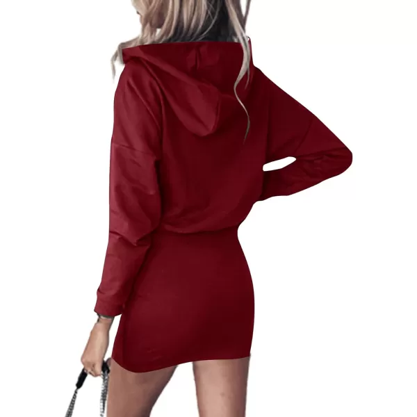 LYANER Women's Long Sleeve Elastic Waist Pullover Slim Fit Casual Mini Hooded Dress