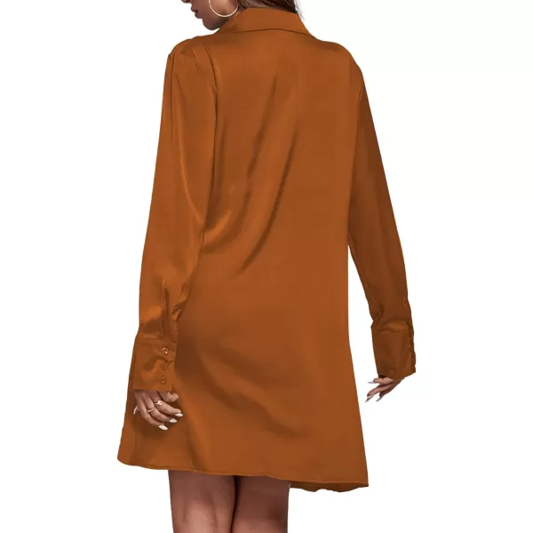 LYANER Women's Satin Collar V Neck Drape Ruched Front Flowy Long Sleeve Short Mini Dress