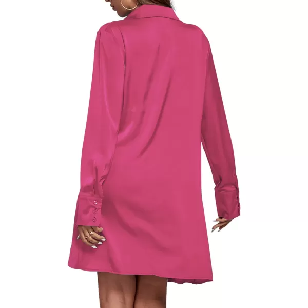 LYANER Women's Satin Collar V Neck Drape Ruched Front Flowy Long Sleeve Short Mini Dress