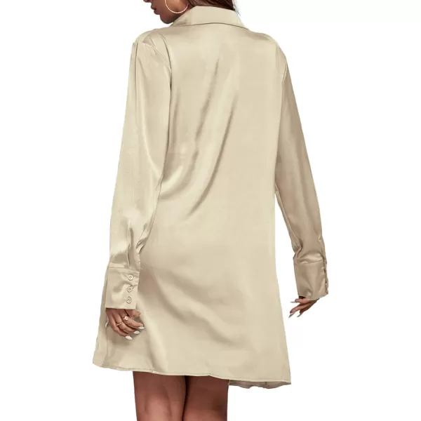 LYANER Women's Satin Collar V Neck Drape Ruched Front Flowy Long Sleeve Short Mini Dress