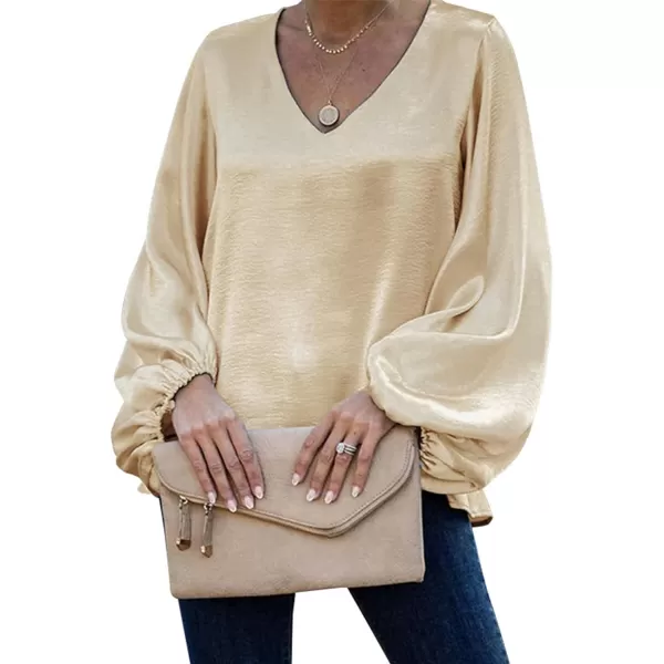 LYANER Women's Satin Silky V Neck Long Sleeve Blouse Shirt Tunic Top