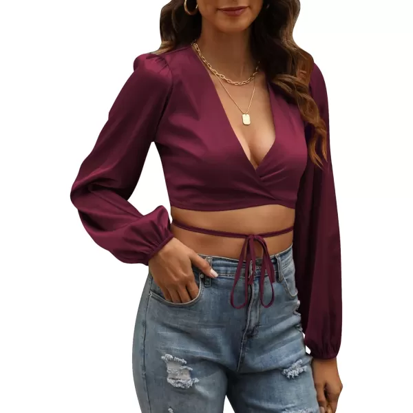 LYANER Women's Satin Wrap V Neck Criss Cross Tie Long Sleeve Crop Blouse Top