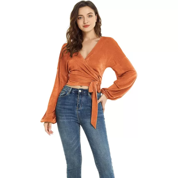 LYANER Women's V Neck Self Tie Knot Bishop Long Sleeve Wrap Crop Blouse T-Shirt Top