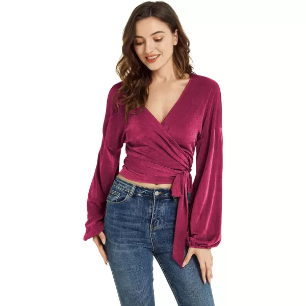 LYANER Women's V Neck Self Tie Knot Bishop Long Sleeve Wrap Crop Blouse T-Shirt Top