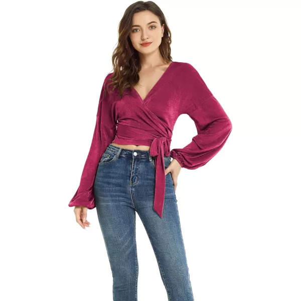 LYANER Women's V Neck Self Tie Knot Bishop Long Sleeve Wrap Crop Blouse T-Shirt Top