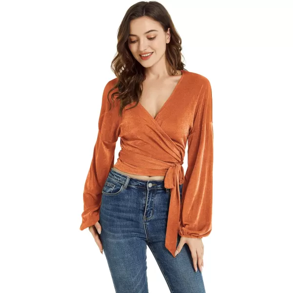 LYANER Women's V Neck Self Tie Knot Bishop Long Sleeve Wrap Crop Blouse T-Shirt Top