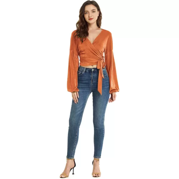 LYANER Women's V Neck Self Tie Knot Bishop Long Sleeve Wrap Crop Blouse T-Shirt Top