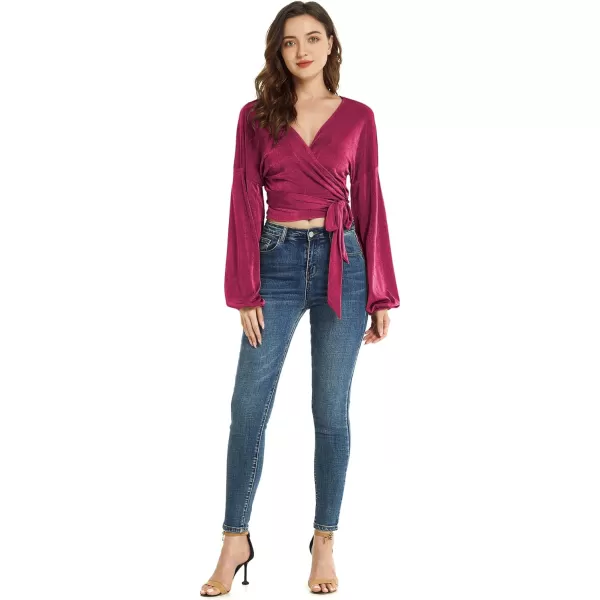LYANER Women's V Neck Self Tie Knot Bishop Long Sleeve Wrap Crop Blouse T-Shirt Top