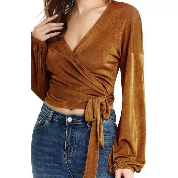 LYANER Women's V Neck Self Tie Knot Bishop Long Sleeve Wrap Crop Blouse T-Shirt Top
