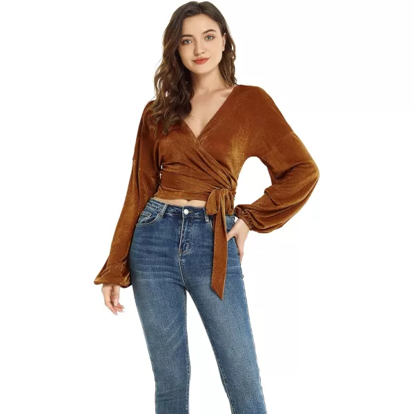 LYANER Women's V Neck Self Tie Knot Bishop Long Sleeve Wrap Crop Blouse T-Shirt Top