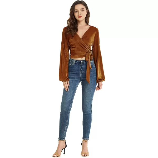 LYANER Women's V Neck Self Tie Knot Bishop Long Sleeve Wrap Crop Blouse T-Shirt Top