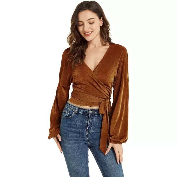 LYANER Women's V Neck Self Tie Knot Bishop Long Sleeve Wrap Crop Blouse T-Shirt Top