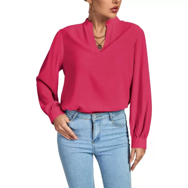 LYANER Women's V Neck Shirred Long Sleeve Office Elegant Tunic Blouse Top