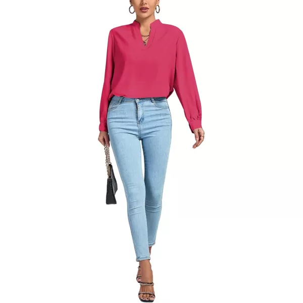 LYANER Women's V Neck Shirred Long Sleeve Office Elegant Tunic Blouse Top