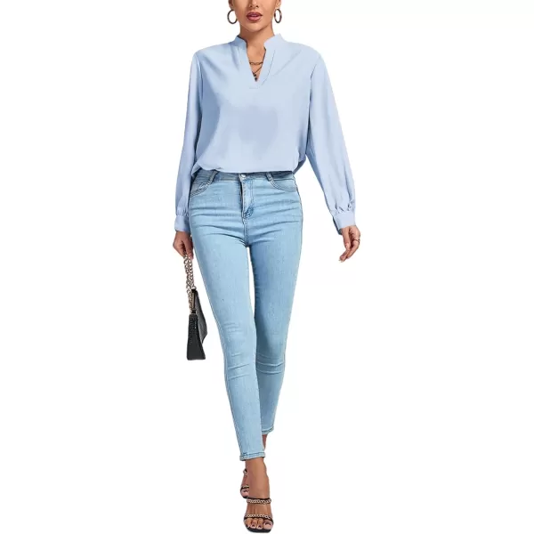 LYANER Women's V Neck Shirred Long Sleeve Office Elegant Tunic Blouse Top