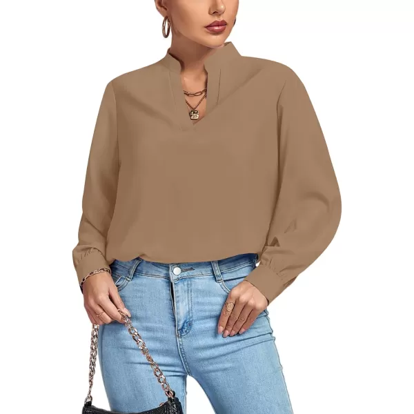 LYANER Women's V Neck Shirred Long Sleeve Office Elegant Tunic Blouse Top