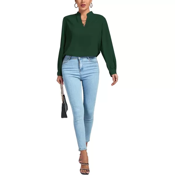 LYANER Women's V Neck Shirred Long Sleeve Office Elegant Tunic Blouse Top