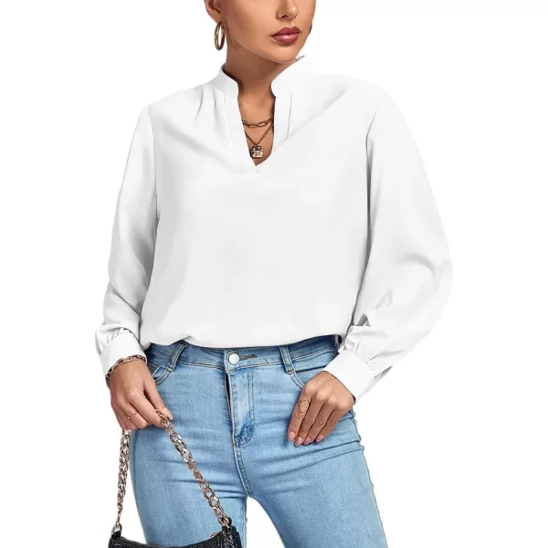 LYANER Women's V Neck Shirred Long Sleeve Office Elegant Tunic Blouse Top