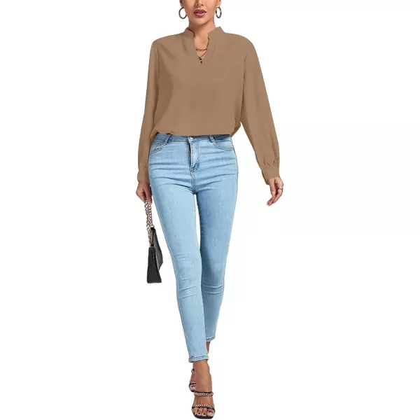 LYANER Women's V Neck Shirred Long Sleeve Office Elegant Tunic Blouse Top