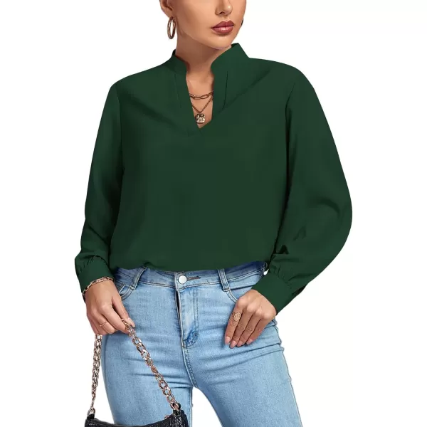 LYANER Women's V Neck Shirred Long Sleeve Office Elegant Tunic Blouse Top