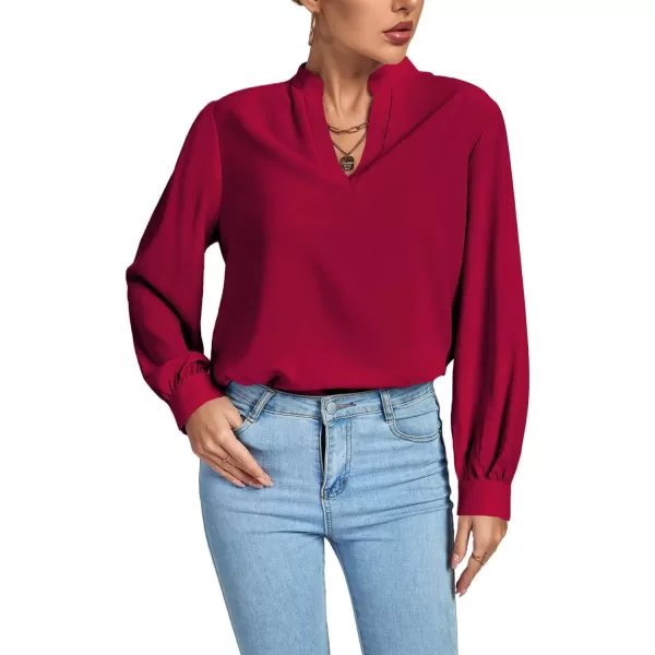 LYANER Women's V Neck Shirred Long Sleeve Office Elegant Tunic Blouse Top