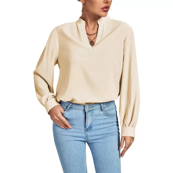 LYANER Women's V Neck Shirred Long Sleeve Office Elegant Tunic Blouse Top