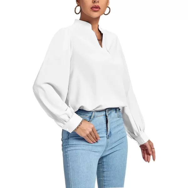 LYANER Women's V Neck Shirred Long Sleeve Office Elegant Tunic Blouse Top
