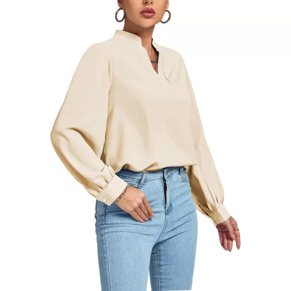 LYANER Women's V Neck Shirred Long Sleeve Office Elegant Tunic Blouse Top