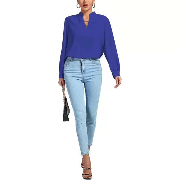 LYANER Women's V Neck Shirred Long Sleeve Office Elegant Tunic Blouse Top