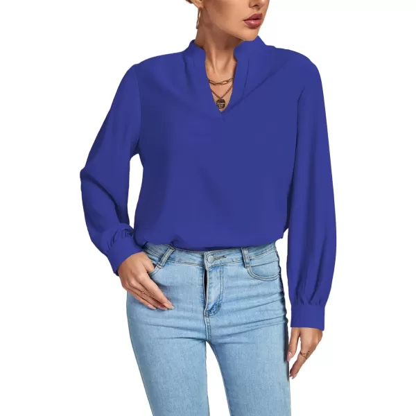 LYANER Women's V Neck Shirred Long Sleeve Office Elegant Tunic Blouse Top