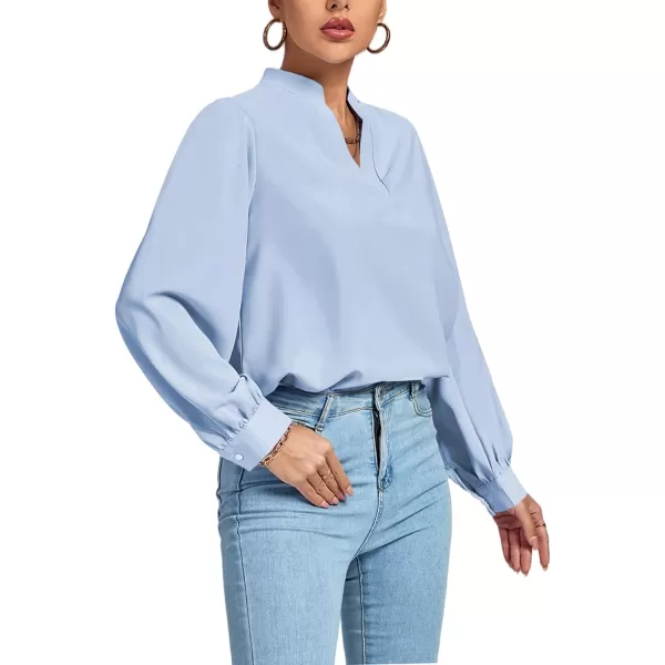 LYANER Women's V Neck Shirred Long Sleeve Office Elegant Tunic Blouse Top