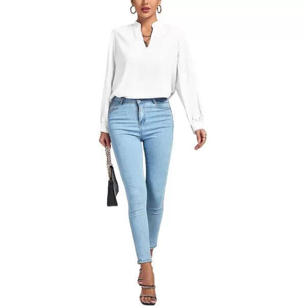 LYANER Women's V Neck Shirred Long Sleeve Office Elegant Tunic Blouse Top