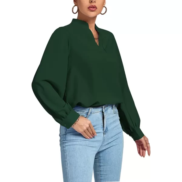 LYANER Women's V Neck Shirred Long Sleeve Office Elegant Tunic Blouse Top