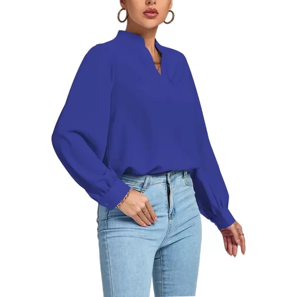 LYANER Women's V Neck Shirred Long Sleeve Office Elegant Tunic Blouse Top