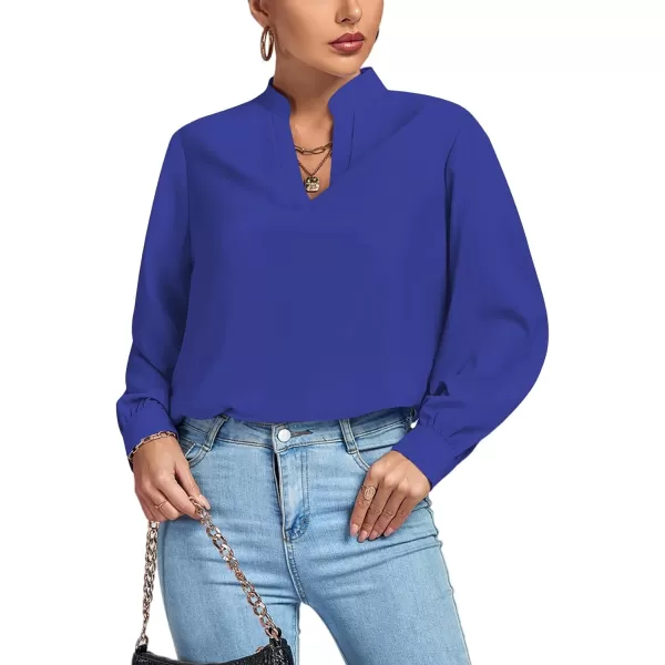 LYANER Women's V Neck Shirred Long Sleeve Office Elegant Tunic Blouse Top