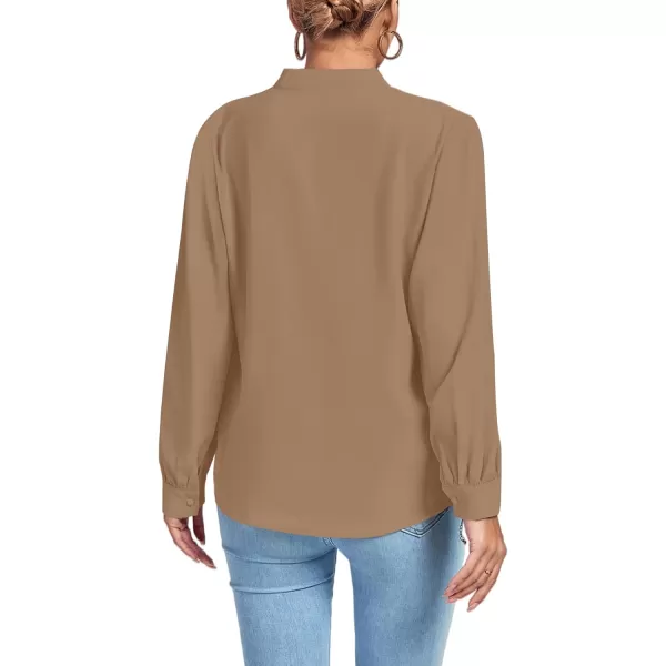 LYANER Women's V Neck Shirred Long Sleeve Office Elegant Tunic Blouse Top