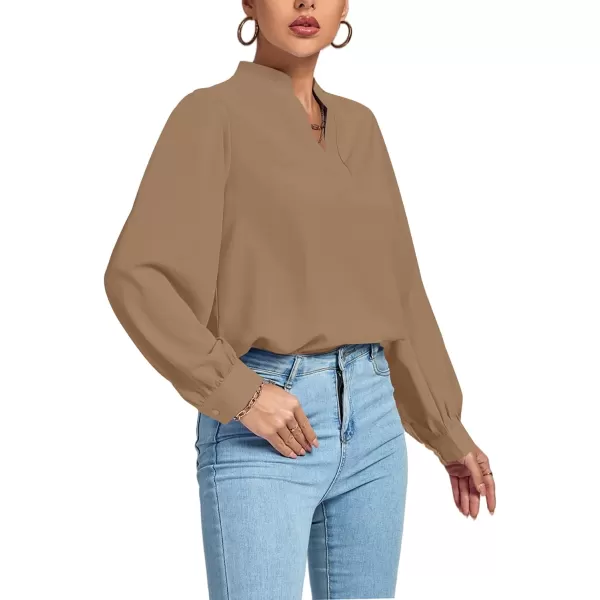 LYANER Women's V Neck Shirred Long Sleeve Office Elegant Tunic Blouse Top