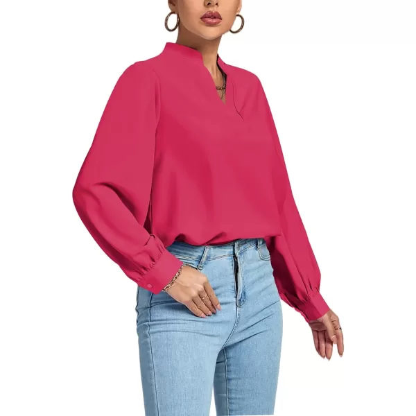 LYANER Women's V Neck Shirred Long Sleeve Office Elegant Tunic Blouse Top