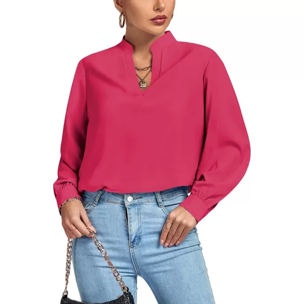 LYANER Women's V Neck Shirred Long Sleeve Office Elegant Tunic Blouse Top