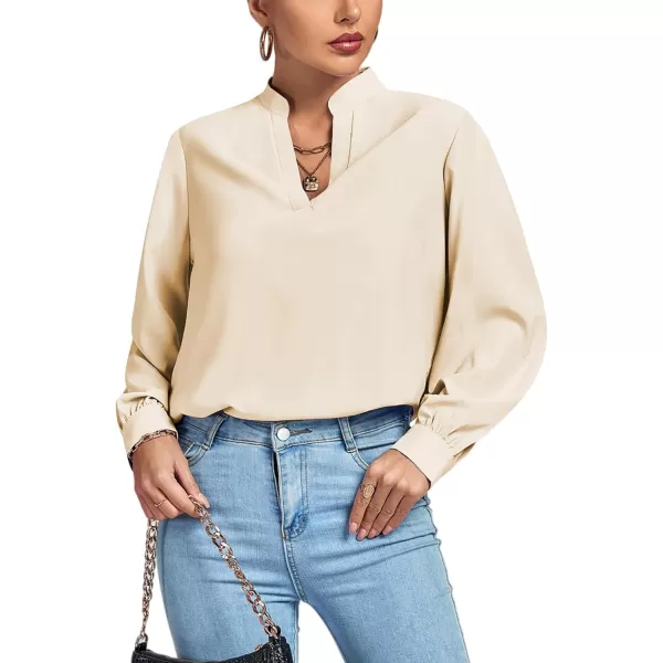 LYANER Women's V Neck Shirred Long Sleeve Office Elegant Tunic Blouse Top