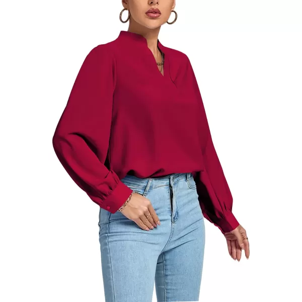 LYANER Women's V Neck Shirred Long Sleeve Office Elegant Tunic Blouse Top