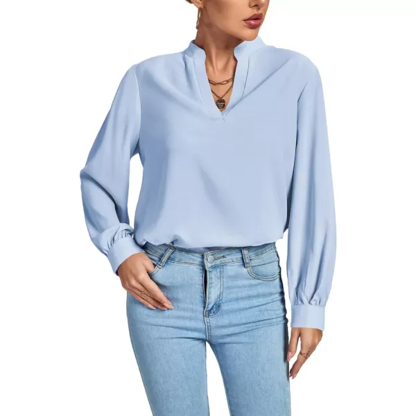 LYANER Women's V Neck Shirred Long Sleeve Office Elegant Tunic Blouse Top