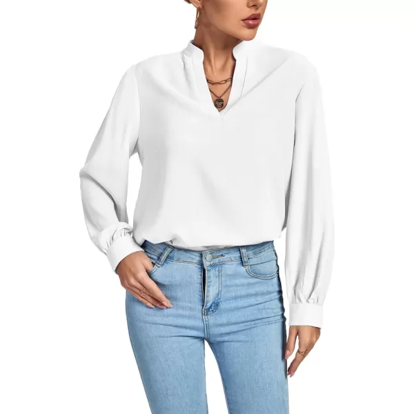 LYANER Women's V Neck Shirred Long Sleeve Office Elegant Tunic Blouse Top