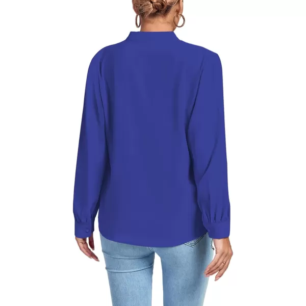 LYANER Women's V Neck Shirred Long Sleeve Office Elegant Tunic Blouse Top