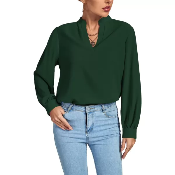 LYANER Women's V Neck Shirred Long Sleeve Office Elegant Tunic Blouse Top