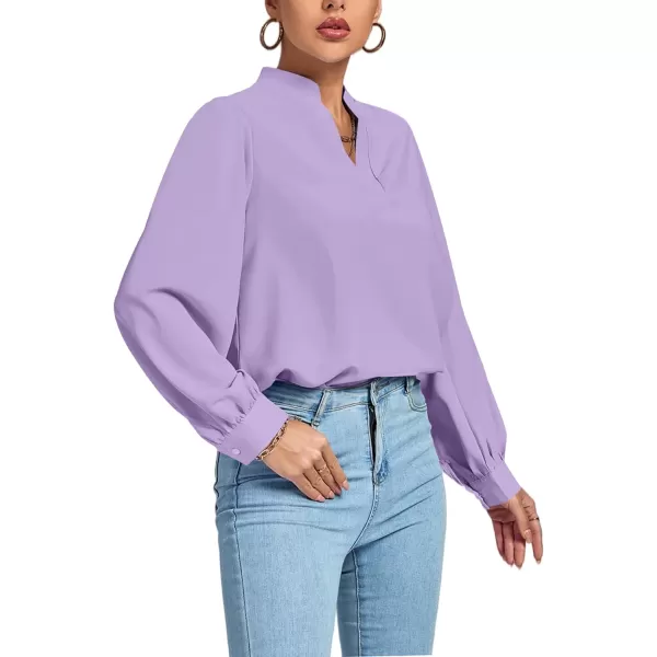 LYANER Women's V Neck Shirred Long Sleeve Office Elegant Tunic Blouse Top