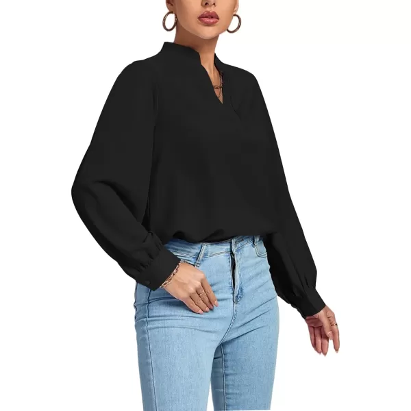 LYANER Women's V Neck Shirred Long Sleeve Office Elegant Tunic Blouse Top